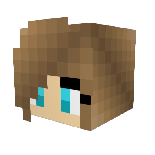 EmCraft9 Minecraft avatar head, 3D render