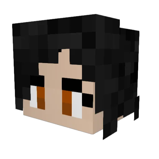 EmDangered Minecraft avatar head, 3D render