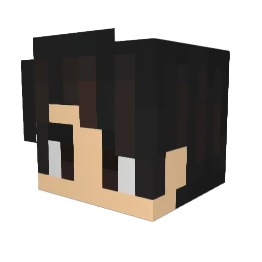 EmDoubleYouBee Minecraft avatar head, 3D render