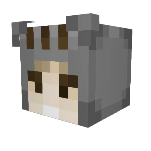 EmDr014 Minecraft avatar head, 3D render