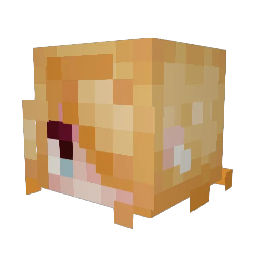 EmFez Minecraft avatar head, 3D render