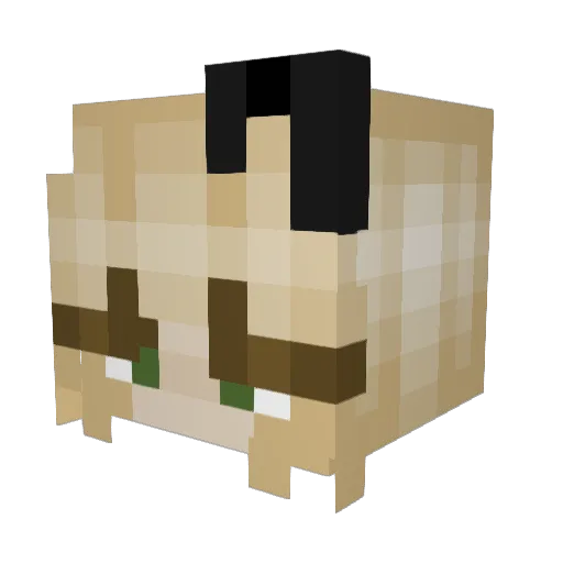 Em_Fid Minecraft avatar head, 3D render
