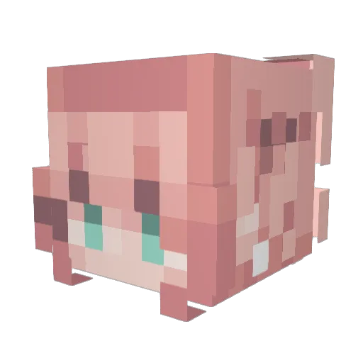 Em_Ly23 Minecraft avatar head, 3D render