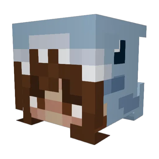 Em_bear Minecraft avatar head, 3D render