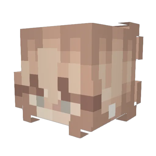 Em_ma12127 Minecraft avatar head, 3D render