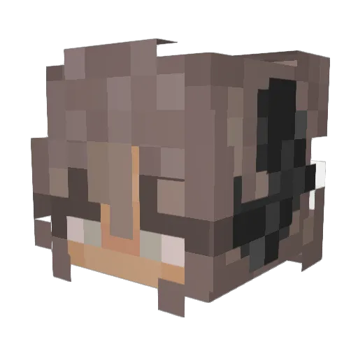 Ema2216 Minecraft avatar head, 3D render