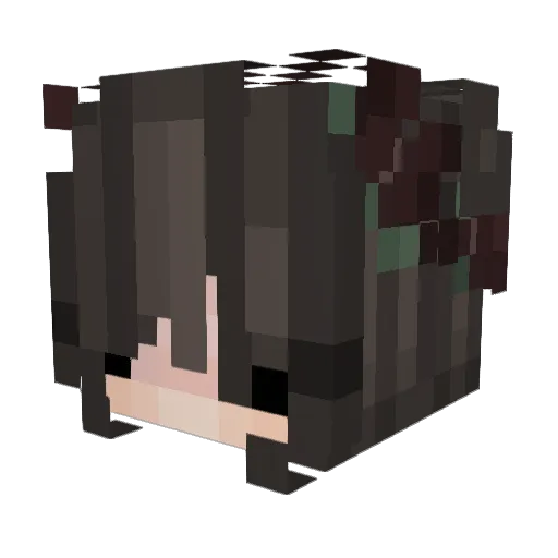 Ema_Coco Minecraft avatar head, 3D render