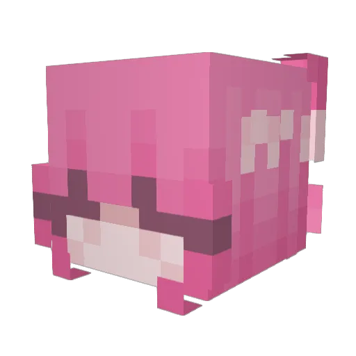 Emalynn Minecraft avatar head, 3D render