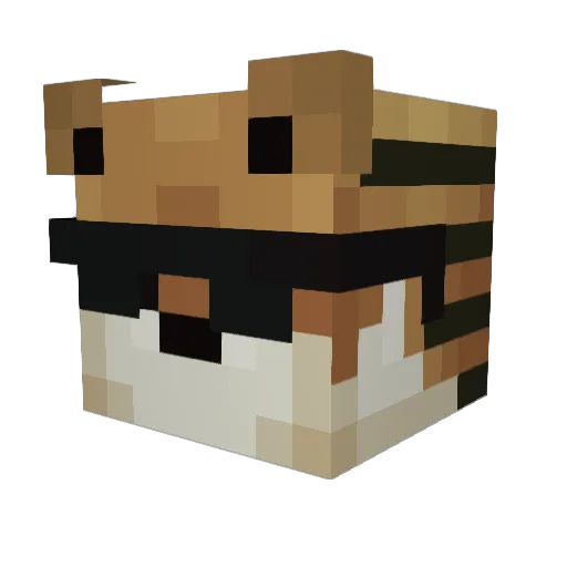 EmanNeg Minecraft avatar head, 3D render