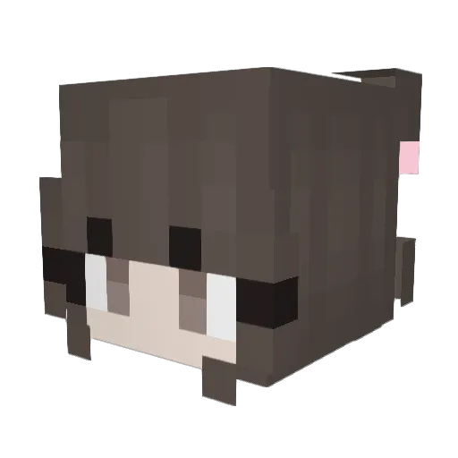 Emba4Life Minecraft avatar head, 3D render