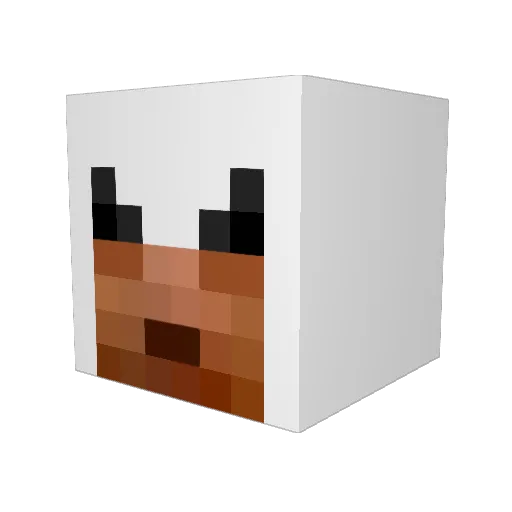 Ember505 Minecraft avatar head, 3D render