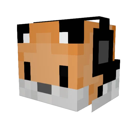 EmberFox_ Minecraft avatar head, 3D render