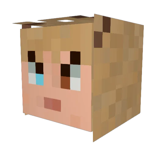EmberLynRose Minecraft avatar head, 3D render