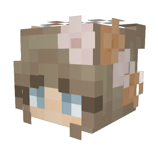 Embercraft Minecraft avatar head, 3D render