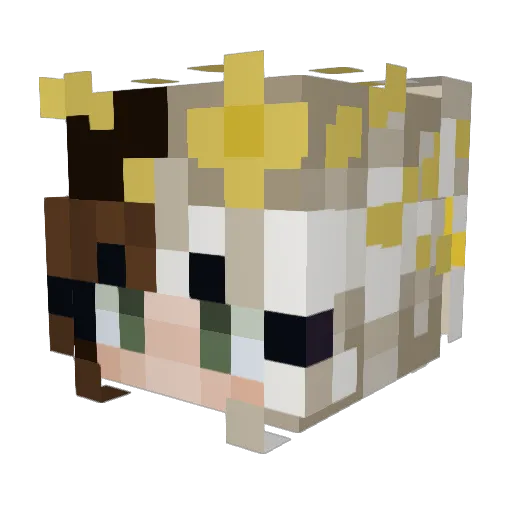 Embers6097 Minecraft avatar head, 3D render