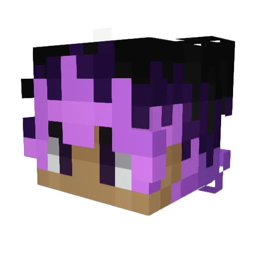 EmbersOverIce Minecraft avatar head, 3D render