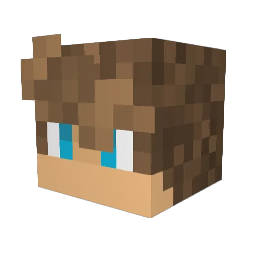 Emblit_21 Minecraft avatar head, 3D render