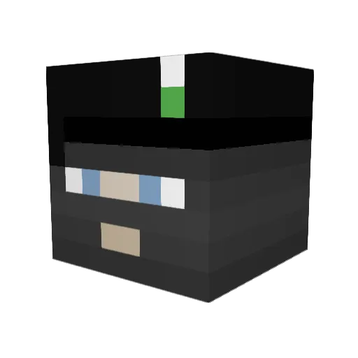 EmbryoDigester12 Minecraft avatar head, 3D render
