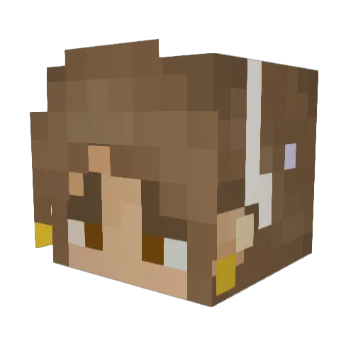 Embutterfly09 Minecraft avatar head, 3D render
