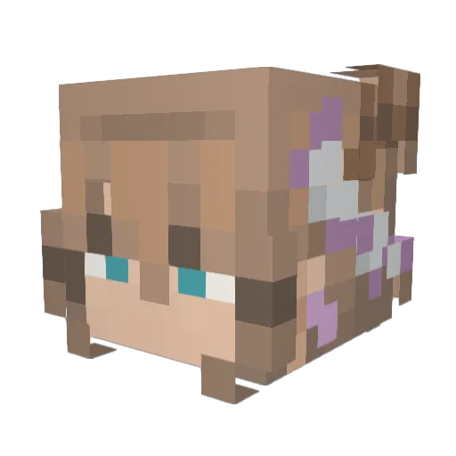 Emcat737 Minecraft avatar head, 3D render
