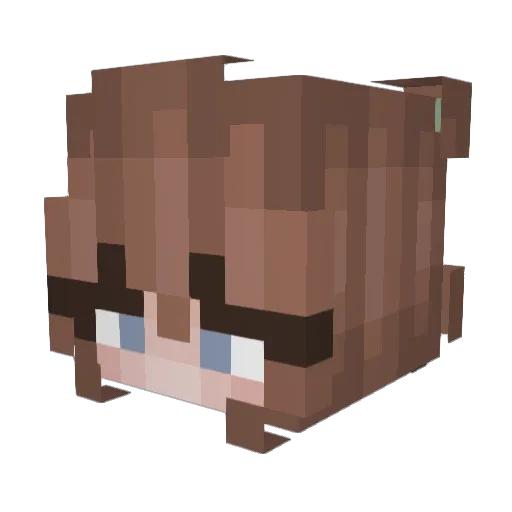 Emcebee Minecraft avatar head, 3D render
