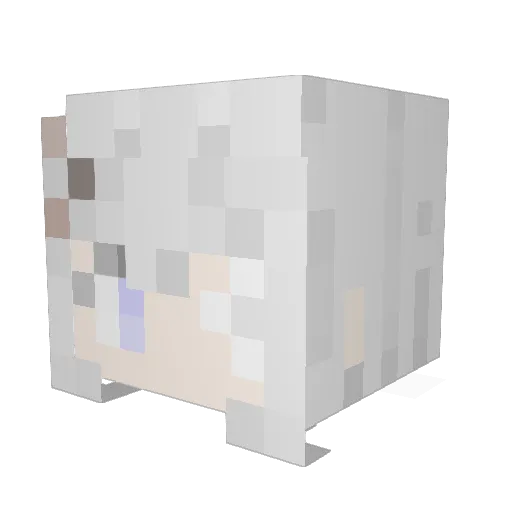 Emden_1914 Minecraft avatar head, 3D render