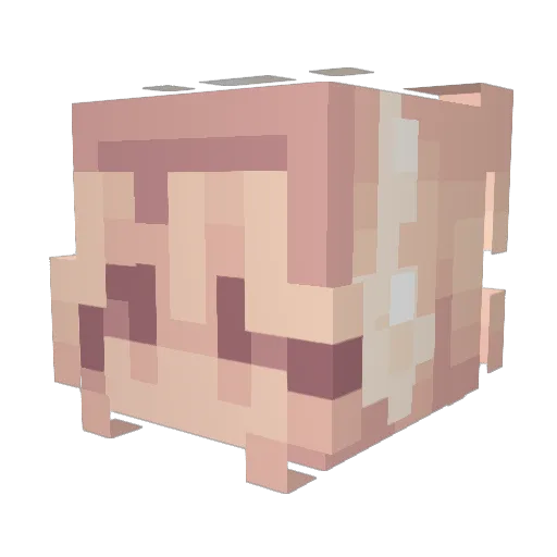 EmeKuh Minecraft avatar head, 3D render