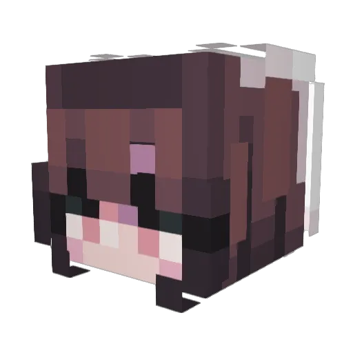 Emerald1410 Minecraft avatar head, 3D render