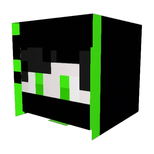 Emerald1907 Minecraft avatar head, 3D render