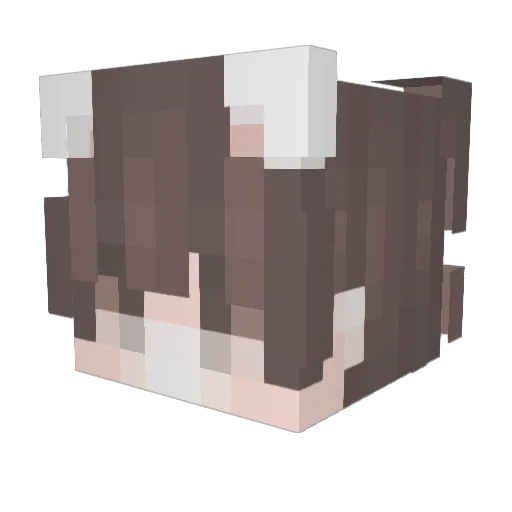 EmeraldCreeper4 Minecraft avatar head, 3D render