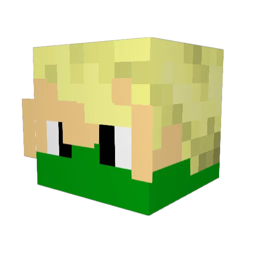 EmeraldHero116 Minecraft avatar head, 3D render