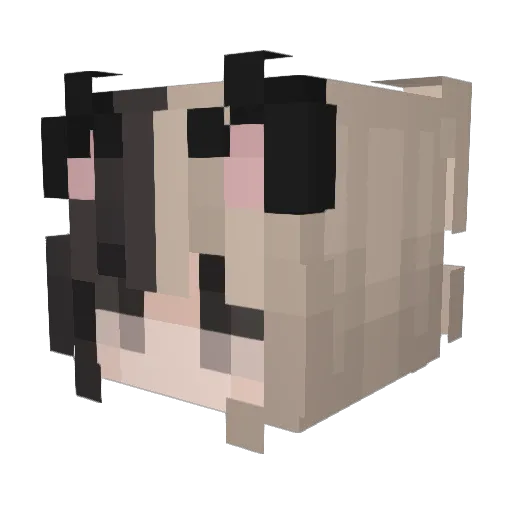 EmeraldWinter Minecraft avatar head, 3D render