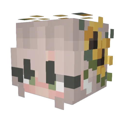 Emeraldssss Minecraft avatar head, 3D render