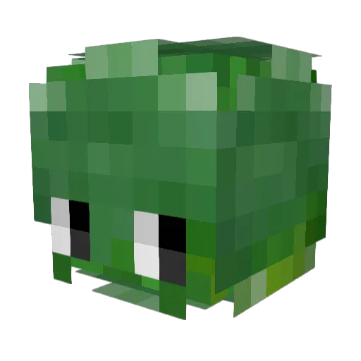 Emere__ Minecraft avatar head, 3D render
