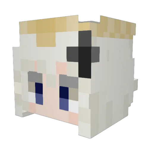 Emergency_Ration Minecraft avatar head, 3D render