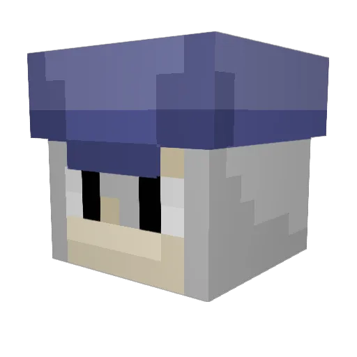 EmergingSage02 Minecraft avatar head, 3D render