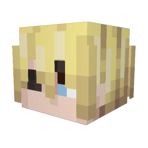 Emerjm_ Minecraft avatar head, 3D render