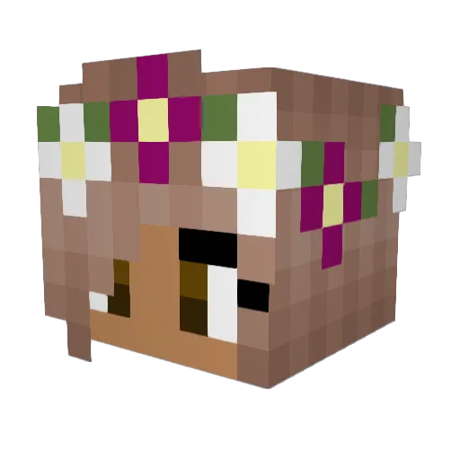 EmersonFlick Minecraft avatar head, 3D render