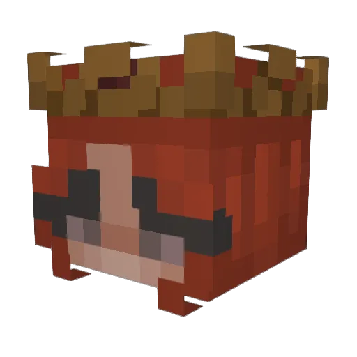 Emerson_07 Minecraft avatar head, 3D render