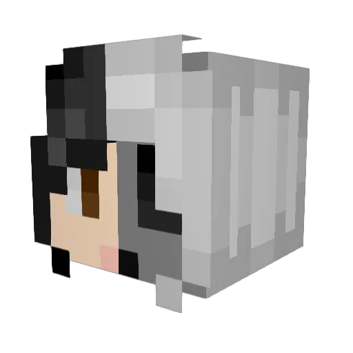 EmeryBunny Minecraft avatar head, 3D render