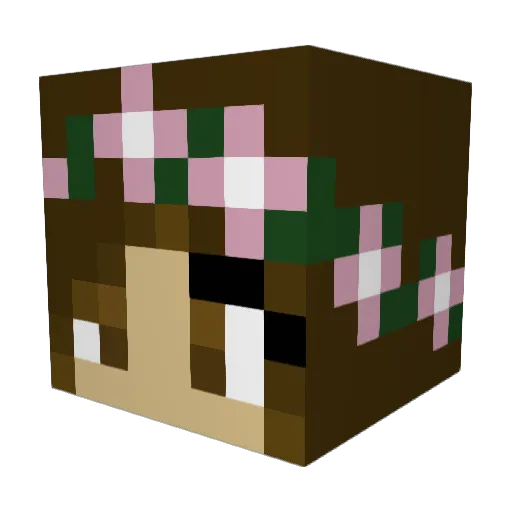 Emflauto22 Minecraft avatar head, 3D render