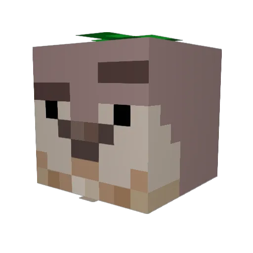 Emi188Y5 Minecraft avatar head, 3D render