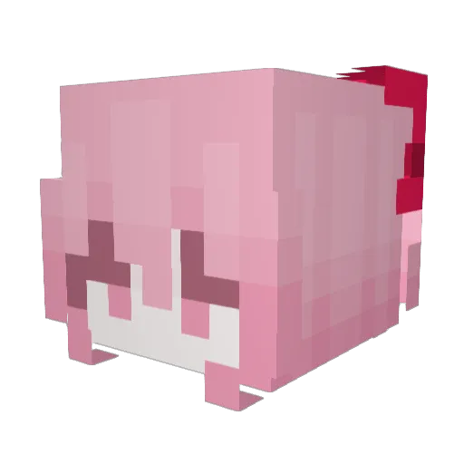 EmiEmilia1337 Minecraft avatar head, 3D render