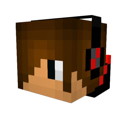 EmiGamer1995 Minecraft avatar head, 3D render