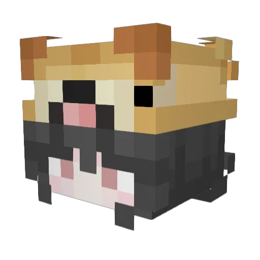 EmiPlaysz Minecraft avatar head, 3D render