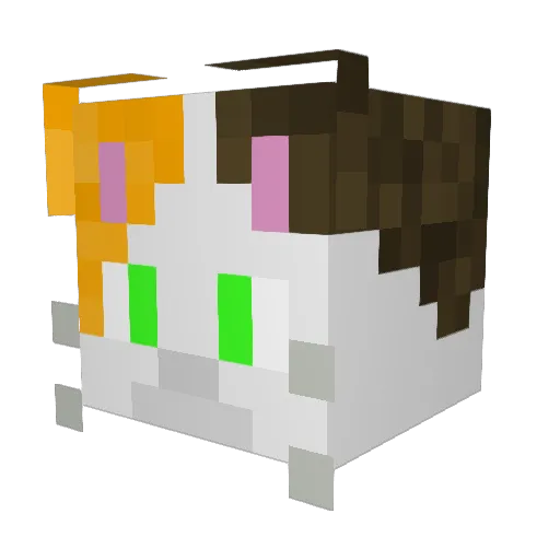 EmiToaster626 Minecraft avatar head, 3D render