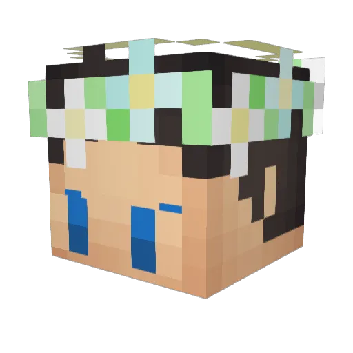 Emi_Birb Minecraft avatar head, 3D render