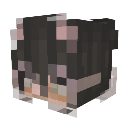 Emi_MB Minecraft avatar head, 3D render