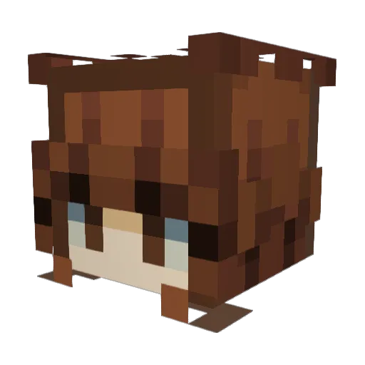 EmibergszN Minecraft avatar head, 3D render