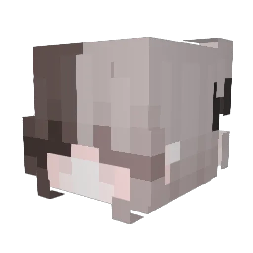 Emicheru Minecraft avatar head, 3D render